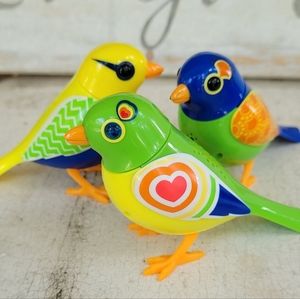 Digibirds